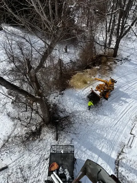 Aerial view of a chipper and crew member working beside a fallen tree in the snow
