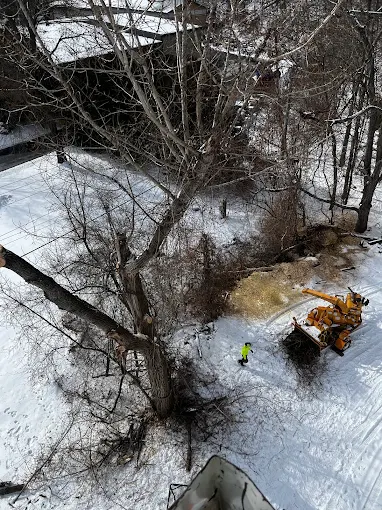 Aerial view of an excavator clearing brush beside a creek in the snow