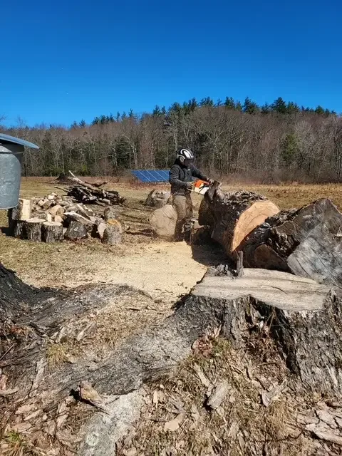 Arborist in a helmet running a chainsaw on a large felled trunk in an open field