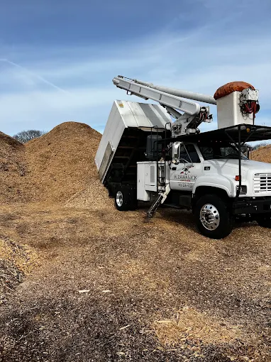 Chip truck dumping a load onto a large mulch pile