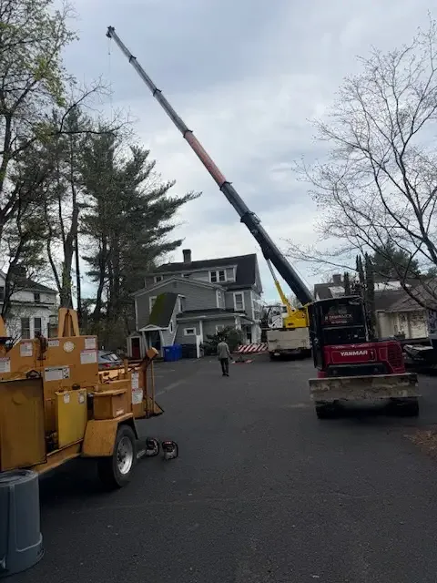 Crane boom extended over a residential street with a brush chipper staged in the foreground
