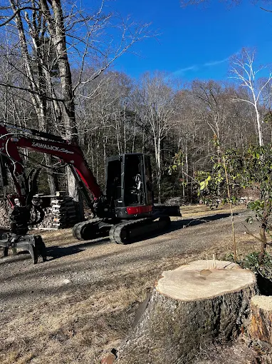 Zawalick mini excavator on a woodland trail beside a freshly cut stump