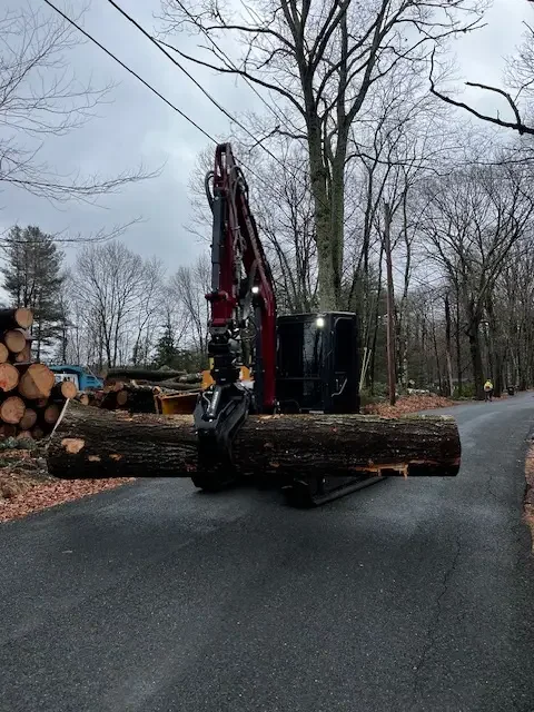 Grapple lifting a large freshly cut log on a paved road with a stack of rounds below