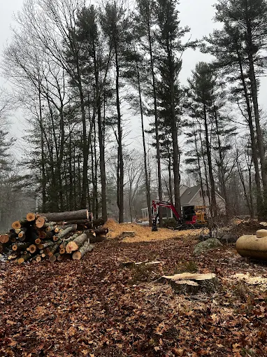 Cleared lot with stacked logs and equipment after a land clearing job near Northampton, MA