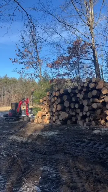 Large stack of cut logs beside a red mini excavator on a cleared lot