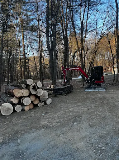 Stacked log pile beside a mini excavator in the woods at sunset