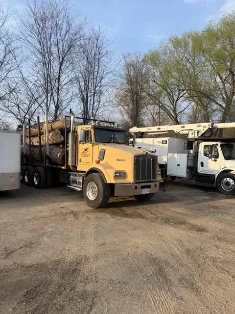 Log truck loaded with timber next to a bucket truck on a gravel pad in early spring