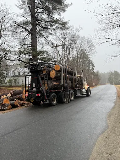 Log truck loaded with timber heading out from a job site near Northampton, MA