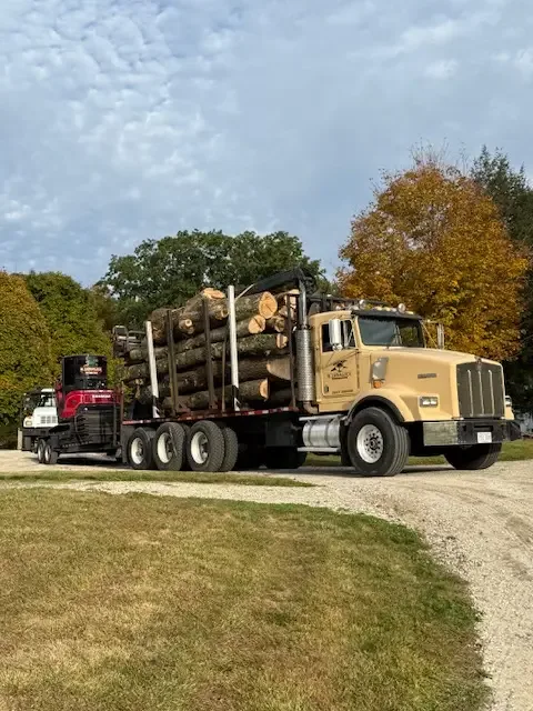 Log truck loaded with fresh-cut logs parked on a grass shoulder in autumn