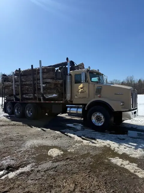 Log truck loaded with timber on a muddy, snow-patched work lane