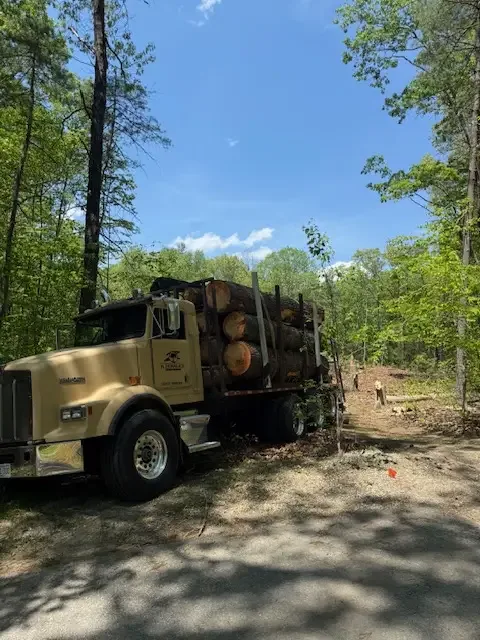 Tan log truck loaded with fresh-cut timber on a cleared access road in the woods