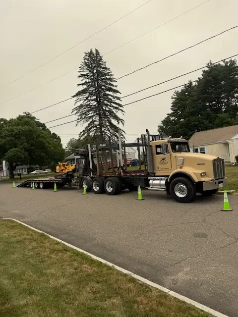 Log truck set up on a residential street with safety cones placed around the work zone