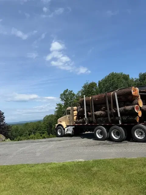 Log truck with a load of large-diameter logs parked along a paved road beside a green lawn