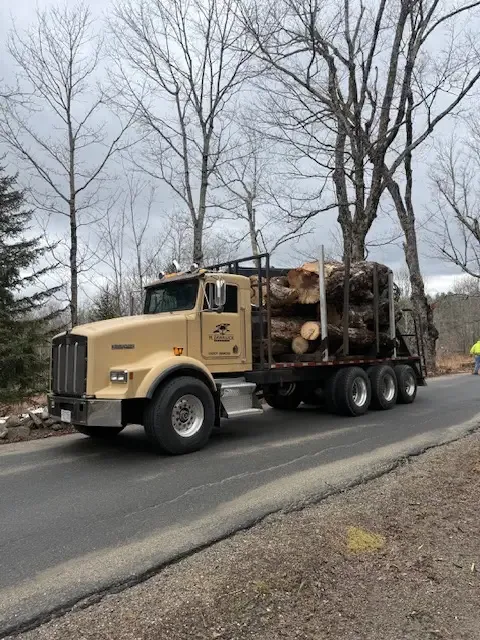 Tan log truck parked on a residential road with a load of cut logs on the bed