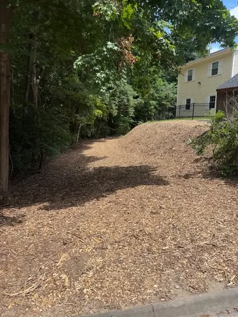 Freshly chipped wood mulch spread across the yard beside a house after a tree job