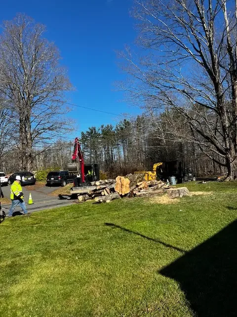 Crew member and red excavator beside a roadside log pile on a sunny Pioneer Valley street
