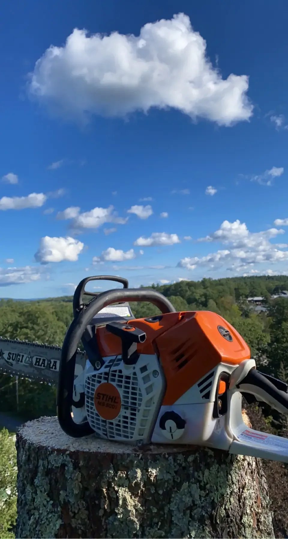 Orange Stihl chainsaw resting on a freshly cut stump above the treeline under a blue sky