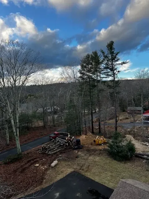 Tall pines on a winter hillside above a driveway with a neat wood pile and a yellow chipper