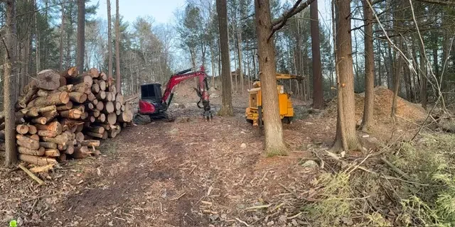 Wide view of a wood lot with a stacked log pile, a red grapple machine, and a yellow chipper