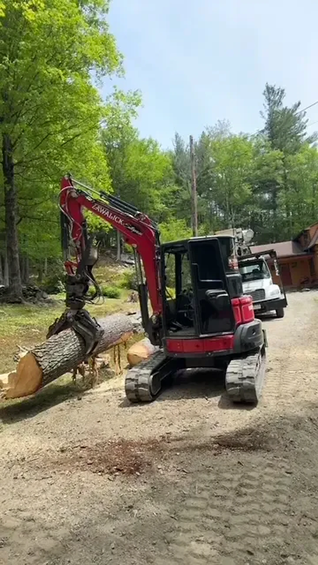 Red Zawalick excavator with a grapple lifting a large freshly cut log on a woodlot driveway